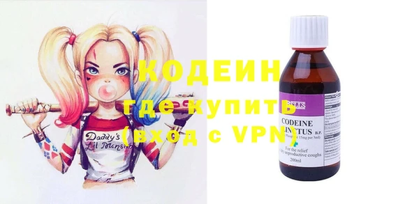 ПСИЛОЦИБИНОВЫЕ ГРИБЫ Арсеньев