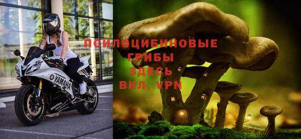 ПСИЛОЦИБИНОВЫЕ ГРИБЫ Арсеньев