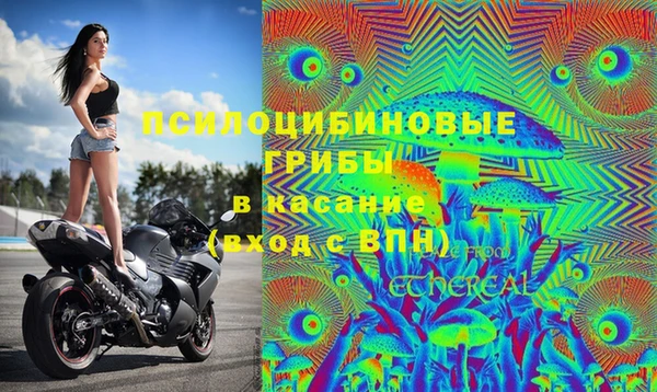 соль ск Аркадак