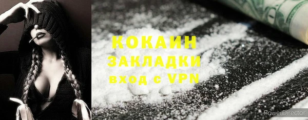 ПСИЛОЦИБИНОВЫЕ ГРИБЫ Арсеньев