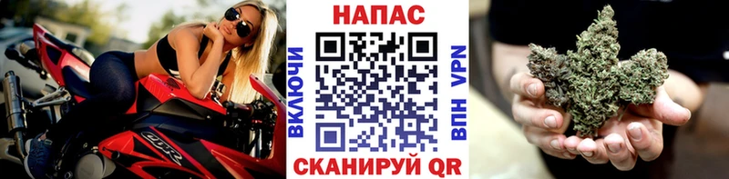 Бошки Шишки OG Kush  Купить закладки  Бирюсинск 